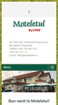 Mobile Screenshot of moteletul.ro